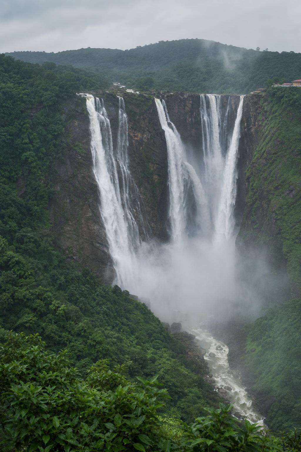 Jog Falls cascading through Karnataka's Western Ghats