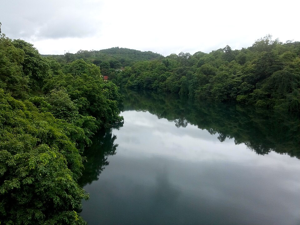 Kali river flowing through Dandeli forests