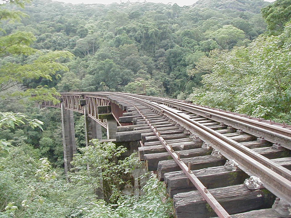 Green hills and plantations of Sakleshpur